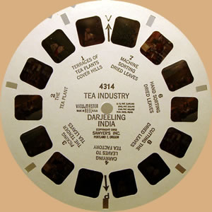 typeset white View-Master reel